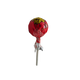Cola Flavour Tornado Pops Lollipop Zed Candy