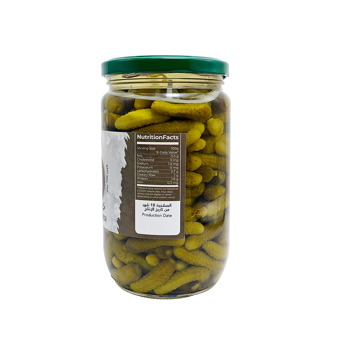 Pickled Gherkins Segal 720 g